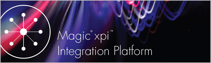 687960円 送料無料 マジックソフトウェアジャパン Magic xpa 3.0 Enterprise Client 30ユーザ 対応OS:その他 取り寄せ商品