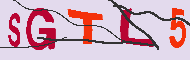 Captcha認証コード
